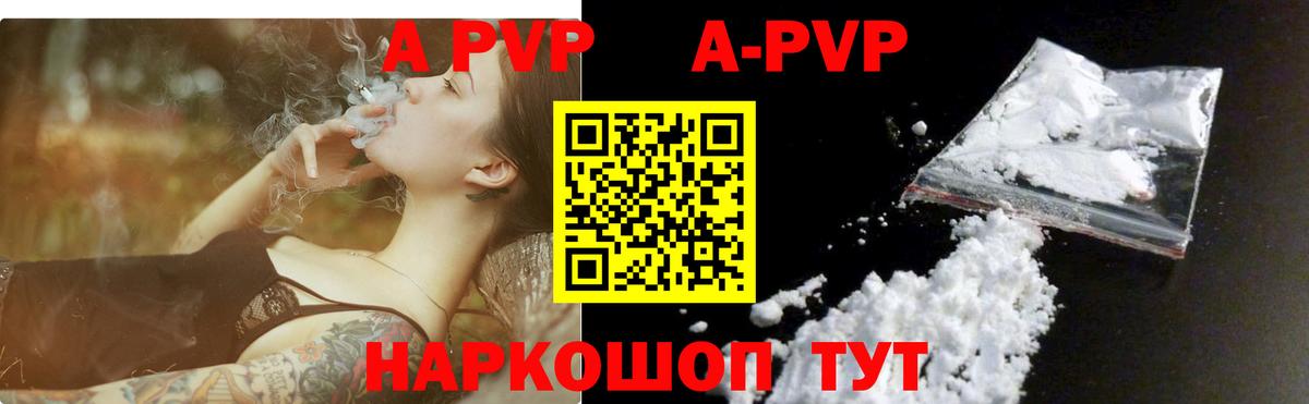 Alfa_PVP СК КРИС Губкин