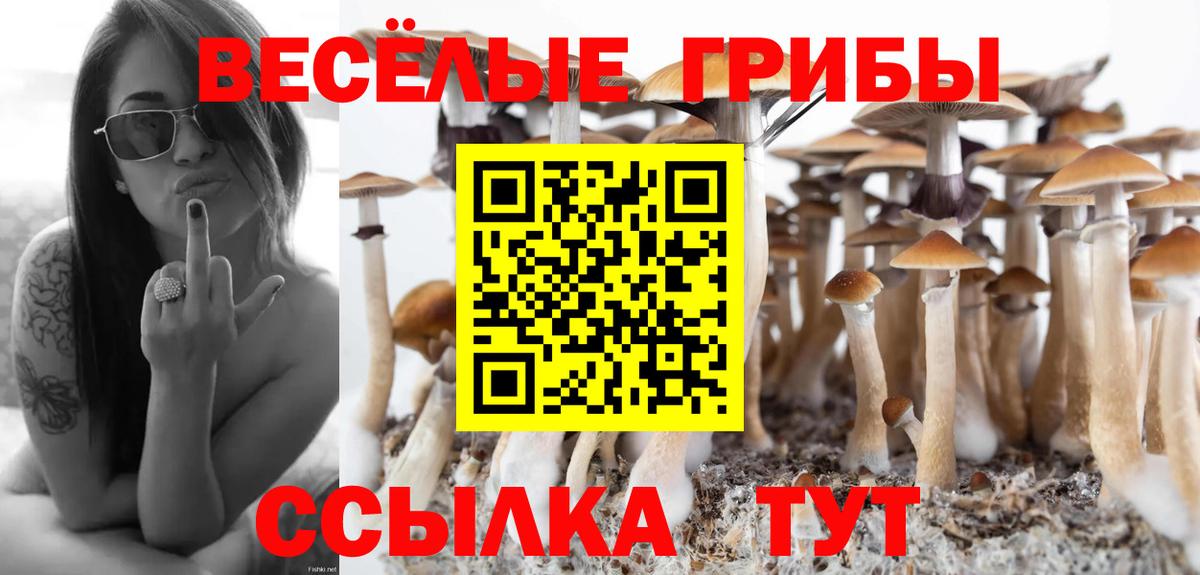 Губкин  Галлюциногенные грибы ЛСД  Вход с VPN 